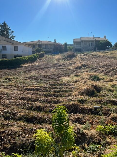 terreno en Jadraque