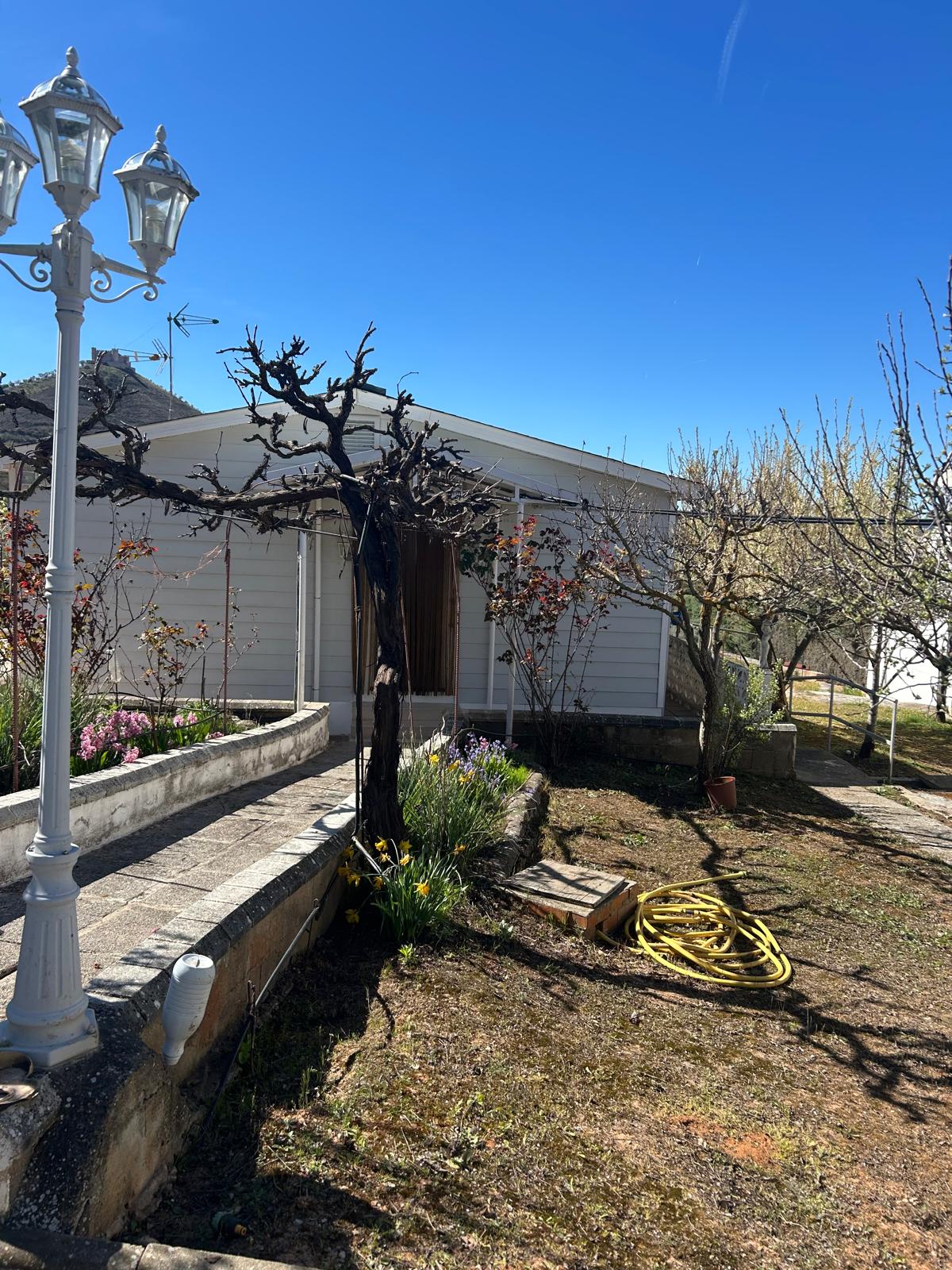 Terreno con casita de madera en Jadraque - Imagen 13
